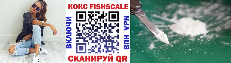 COCAIN FishScale  Купить закладки  Высоцк 