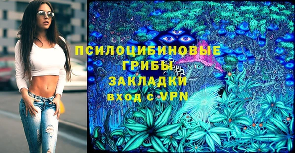 молекула духа Армянск