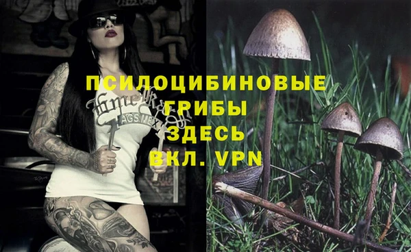 твердый Аркадак