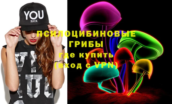 молекула духа Армянск