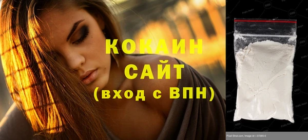 твердый Аркадак