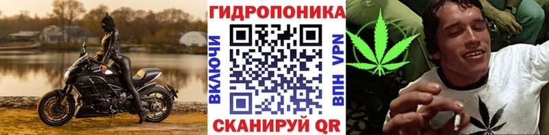Шишки марихуана тримм  Купить  Высоцк 
